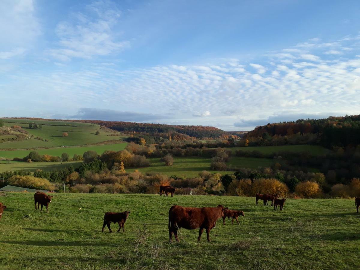 Gite Aux Lauriers Lacroix-sur-Meuse Экстерьер фото